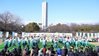 【早稲田大学 下駄っぱーず】第13回 堺よさこいかえる祭り2025 (大仙公園会場)