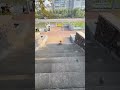 Aksi Keren Anjing Terlatih di Atas Skateboard