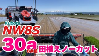 8条植　田植え　ノーカット　NW8S