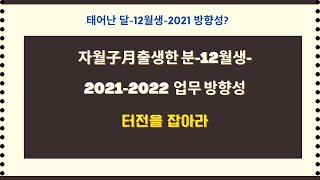 태어난 달-12월생-자월子月출생한 분- 2021~2022 업무 방향성?