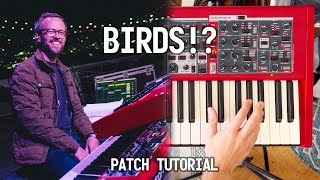 BIRDS or SYNTHS? Nord Stage 4 Tutorial.