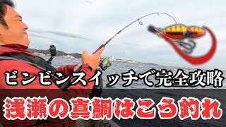 浅瀬の真鯛はこう釣れ！！【ビンビンスイッチで完全攻略】