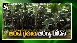 అరటి రైతుల అరణ్య రోదన | Banana Farmers Losing Profits Due to Lockdown | Matti Manishi | 10TV Agri