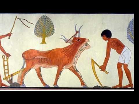 What is the Fertile Crescent and why is it important?
