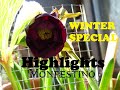 Winter Specials 2022/23 Gardeners' World Highlights from The Little Garden of Monfestino