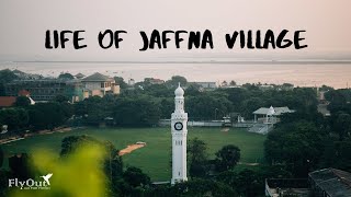 இது நம்ம யாழ்ப்பாணமா? Life Of Jaffna Village | Jaffna |