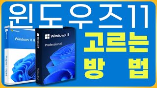 윈도우즈 11 홈과 프로 버전 어떤 거 살까? 제일 중요한 건 이겁니다