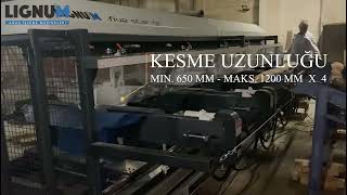 Lignum Five Star | Beşli Boy Kesme Makinesi | Five Saw Cross Cutting Machine