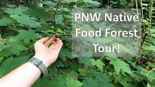 PNW Native Food Forest Tour | Native Plants