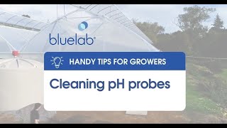 Bluelab Cleaning Ph Probes