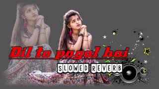Dil To Pagal Hai (Slowed+Reverb) | Lata Mangeshkar | Udit Narayan | Lofi song