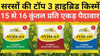 ताबड़तोड़ उत्पादन देने वाली सरसों की टॉप तीन हाइब्रिड किस्में।।Mustard Top 3 Hybrid Varieties।।