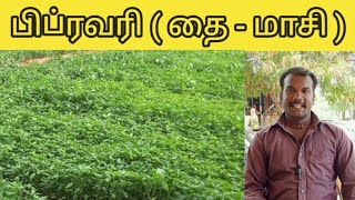 பிப்ரவரி மாத காய்கறிகள் | Vegetables of February | பறவை அன்னம்