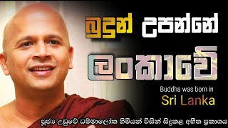 බුදුන් උපන්නේ ලංකාවේ 🇱🇰 | පූජ්‍ය උඩුවේ ධම්මාලෝක ස්වාමීන් වහන්සේ සිදුකළ අභීත ප්‍රකාශය