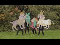 pushpin garden is nice official video