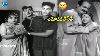 Sobhan Babu and NTR Emotional with SV Ranga Rao | Telugu old Movie Scene @iDreamKhammam