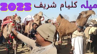 Mela Kalyam Sharif 2025 | Onthon Ka Mela | Urs Kalyam Sharif | Camel Mela Kalyam Sharif