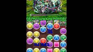 パズドラ　ラグウェル周回　劉備x劉備