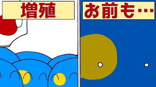 【ポーランドボール】パラオつおい！【Polandball】