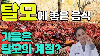 가을은 탈모의 계절? 탈모에 좋은 음식 모았습니다-한약건식021