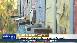 Hungary’s beekeepers are fighting for survival