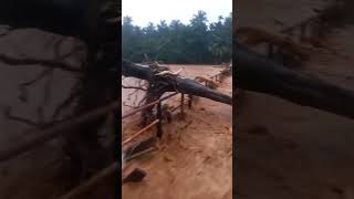 കലിതുള്ളി ഒഴുകുന്ന വിലങ്ങാട് പുഴ #ജാഗ്രതൈ #kozhikode flood 2024