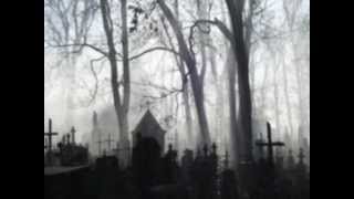 prawdziwy duch na cmentarzu,i w oknie.ghost in the cemetery墓地の精神を捕獲した。Real ghost