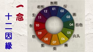 39 法華經精要: 一念十二因緣與觀行 (見額法師講授)【繁簡 CC 字幕】