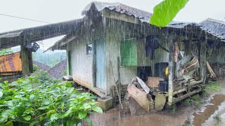 MASYA ALLAH😍 INTIP LAGI KAMPUNG JANDA AH. SEJUK INDAH BIKIN BETAH HUJAN TURUN DI PEDESAAN INDONESIA