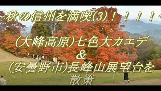 ～～秋の信州を満喫(3)！！！！～～(大峰高原)七色大カエデ＆(安曇野市)長峰山展望台を散策