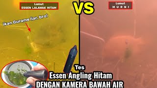 Tes Essen ANGLING HITAM pada umpan lumut dengan kamera bawah air || Essen Viral matak gacor!