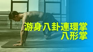 【一人練習】游身八卦連環掌 八形掌（鳳形掌、熊形掌、虎形掌） 220305