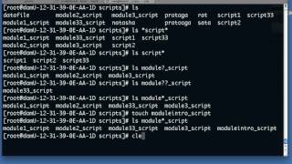 Linux bash wildcard basics