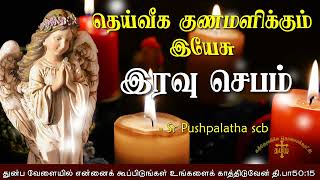 28.11.2022- Night prayer - இரவு ஜெபம் -தெய்வீக குணமளிக்கும் இயேசு @TAMIL CATHOLIC ONLINE TV  Day 329