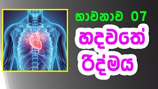 භාවනාව 07 | භාවනා ක්‍රම | හදවතේ රිද්මය සහ නාඩි by namal balasooriya