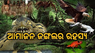 ଆମାଜନ ଜଙ୍ଗଲ ର ରହସ୍ଯ  | Amazon Jungle Mysteries | Amazon jungle Rahasyamaya katha | Odia Rahasya |