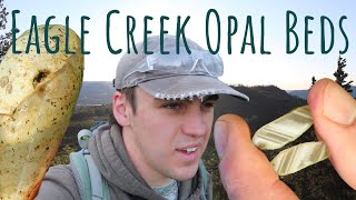 A Quick Dig And Exploration At The Eagle Creek Opal Beds.