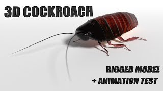 3D Cockroach rigged model + animated walkcycle test