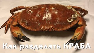 Как разделать КРАБА 🦀