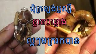 ជុំក្រឡង់ប្ញស្សី ខ្នាតបន្តោងស្អាតៗ អាចប្រើប្រាស់បាន,Bamboo magic tree