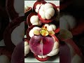 Mangosteen #asmr #viral #trending #shorts #cute #fruits #youtubeshorts #youtubershorts #organic