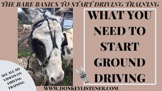 How to Start Ground Driving (The Bare Basic equipment you need to start a driving donkey)