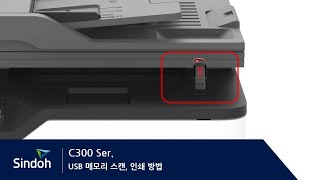 C300 USB 메모리 스캔, 인쇄 방법