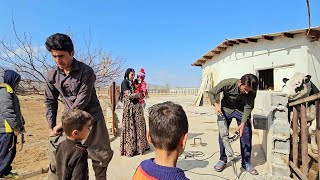 Narges and the children went to the cowshed to help Babak.