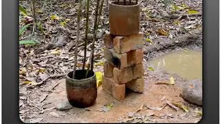 普通人怎么在野外生存，澳洲小哥帮你获取水和食物，建造出庇护所 荒野建造 野外生存 野外建造 徒手建造房屋 野外生活纪录片