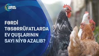 Fərdi təsərrüfatlarda ev quşlarının sayı niyə azalıb?