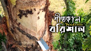 শীতের বরিশাল | Winter LifeStyle of Barishal ft. Shine