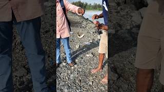 Fishing Azhikkal #kannur #azhikkal #fishing #azhikode #shorts #mycamvlogs