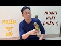 Thuần Vẹt Bổi Nhanh Nhất Vịnh Bắc Bộ((PHẦN 1). How To Tame Natural Forested Parrot Quickly?