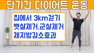 단기간 살빠지는 집에서 3km 걷기 운동 (feat.뱃살빠지는 칼로리소모운동)